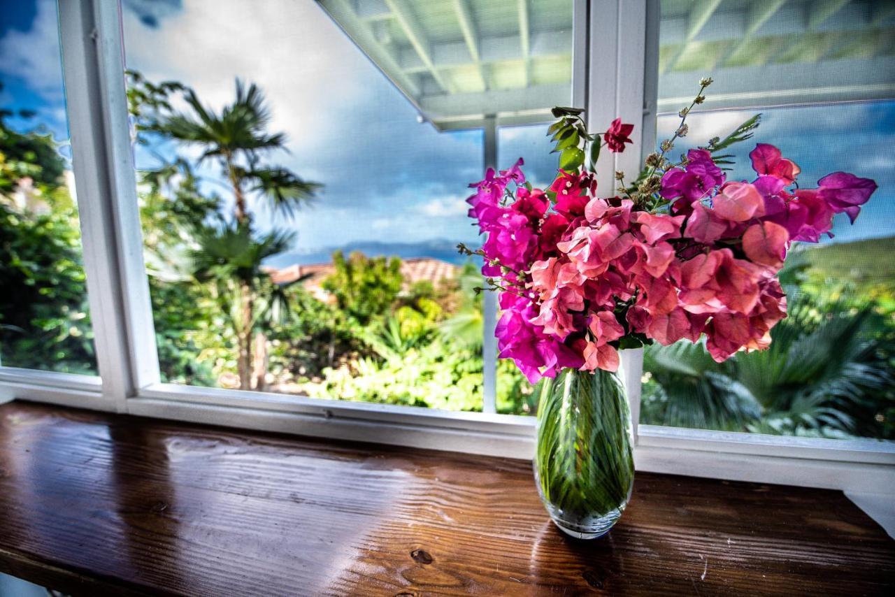 Papaya Suite At Sunset Serenade Cruz Bay المظهر الخارجي الصورة